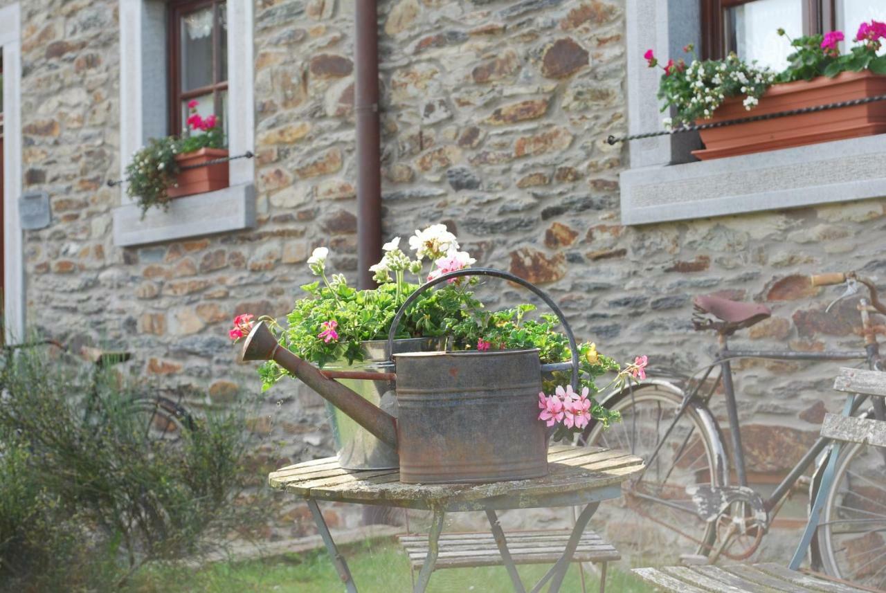 Villa Petite Reine à Bertrix Extérieur photo